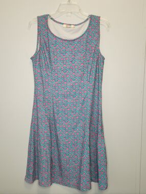 Aryeh Turquoise & Pink Sleeveless A-Line Dress